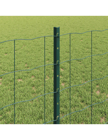 Recinzione con Posto Verde 0,8 x 25 m Acciaio