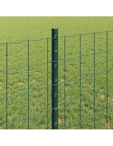 Recinzione con Posto Verde 0,8 x 25 m Acciaio