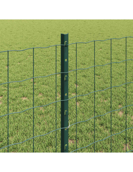 Recinzione con Posto Verde 0,8 x 25 m Acciaio