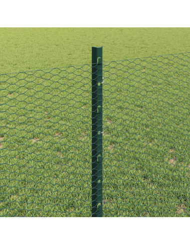 Recinzione con Posto Verde