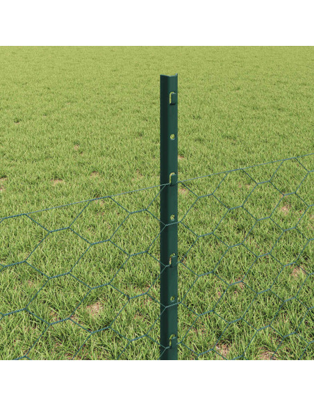 Recinzione con Posto Verde 0,5 x 10 m Acciaio e PVC