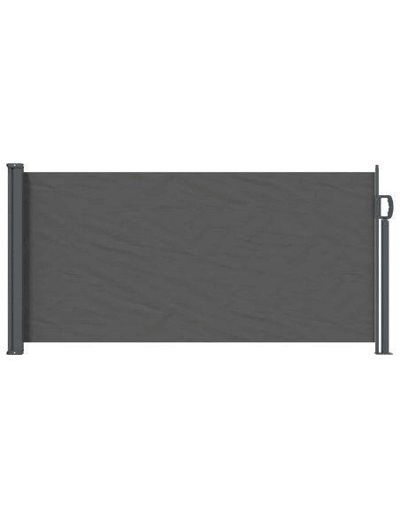 Tenda laterale retrattile Antracite 300 x 100 cm Poliestere