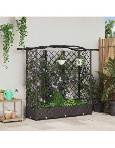 Letto Rialzato con Griglia e Tetto Marrone 163 x 40 x 126 cm PP