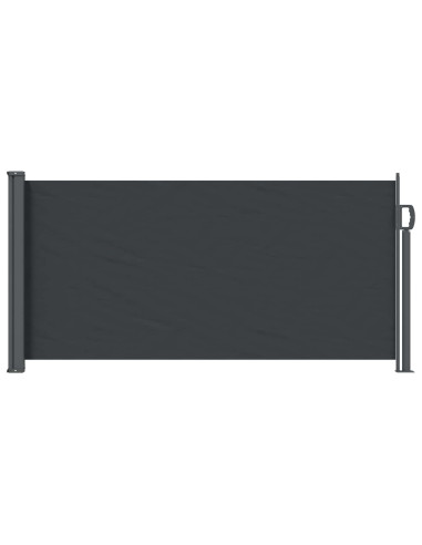 Tenda laterale retrattile Nero 300 x 100 cm Poliestere