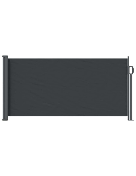 Tenda laterale retrattile Nero 300 x 100 cm Poliestere