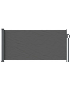 Tenda laterale retrattile Antracite 300 x 100 cm Poliestere