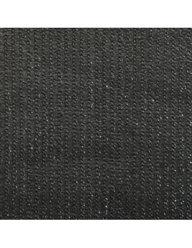 Tenda a Rullo per Esterni 60x140 cm Antracite