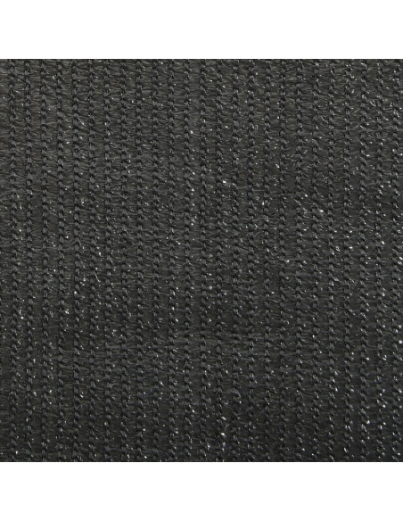 Tenda a Rullo per Esterni 60x140 cm Antracite