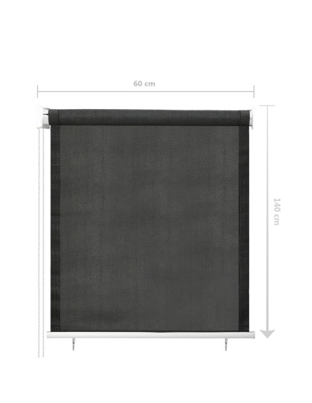 Tenda a Rullo per Esterni 60x140 cm Antracite