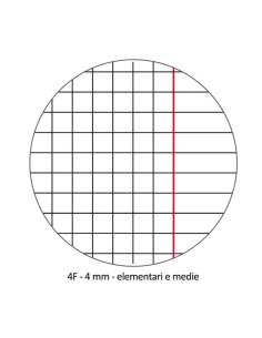 CF10 QUAD.MAXI PIGNA COL 42FF/SH 4F