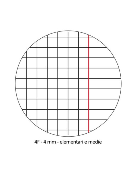 CF10 QUAD.MAXI PIGNA COL 42FF/SH 4F