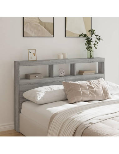 Testiera con Contenitore a LED Grigio Sonoma 160x17x102 cm