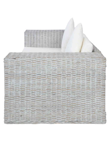 Set di Divani 2 pz con Cuscini Grigio in Rattan Naturale