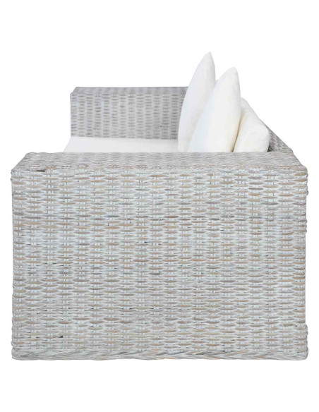 Set di Divani 2 pz con Cuscini Grigio in Rattan Naturale