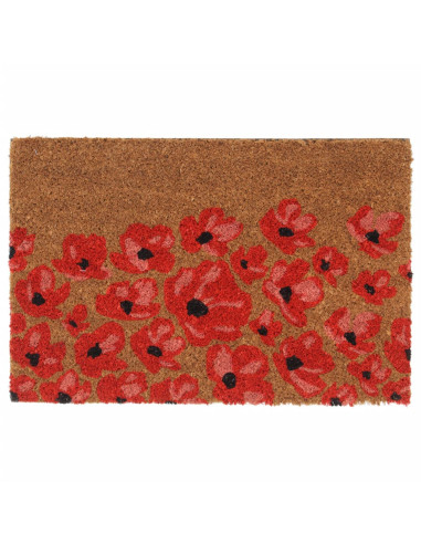 Zerbino Naturale 40x60 cm Fibra di Cocco