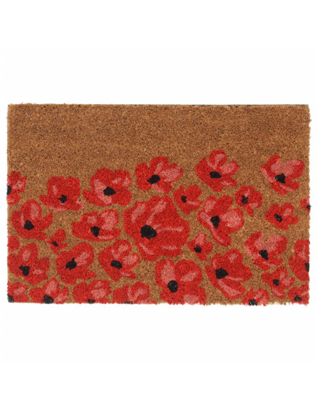 Zerbino Naturale 40x60 cm Fibra di Cocco