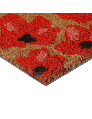 Zerbino Naturale 40x60 cm Fibra di Cocco