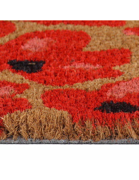 Zerbino Naturale 40x60 cm Fibra di Cocco