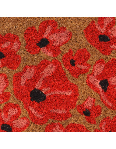 Zerbino Naturale 40x60 cm Fibra di Cocco