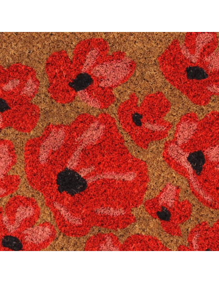 Zerbino Naturale 40x60 cm Fibra di Cocco