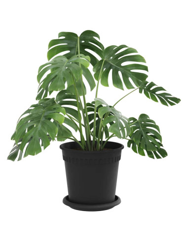 Vasi per Piante 6 pcs Nero Ø 17 x 14 cm Plastica