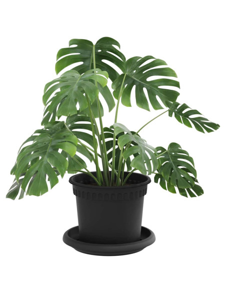Vasi per Piante 24 pcs Nero Ø 12,5 x 10 cm Plastica