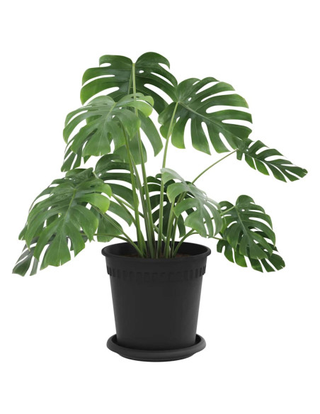 Vasi per Piante 24 pcs Nero Ø 17 x 14 cm Plastica