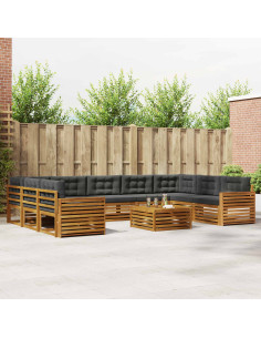 Set di divani da esterno 10 pcs Naturale e Antracite