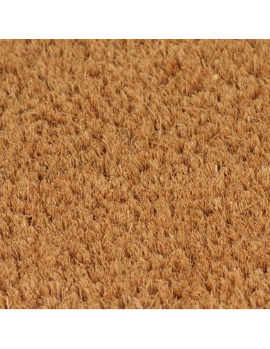 Zerbino Naturale 50x80 cm in Fibra di Cocco