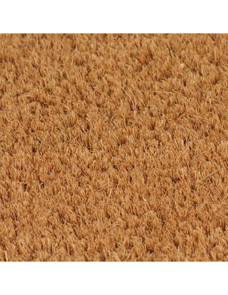 Zerbino Naturale 40x60 cm Fibra di Cocco