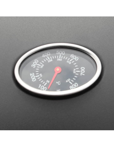 Barbecue e Griglia a Gas 4+1 Fornelli Nero