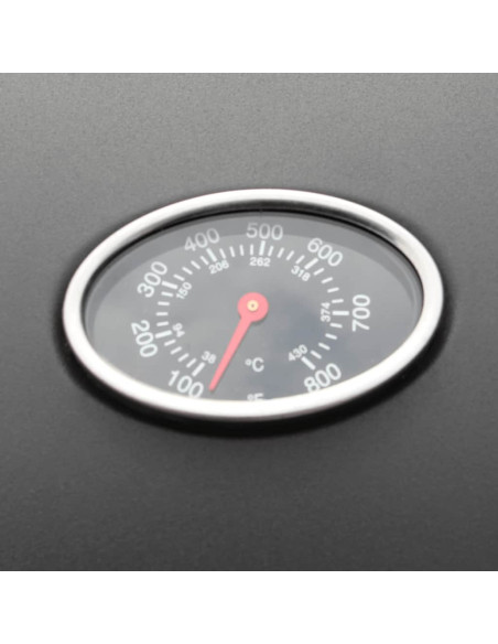 Barbecue e Griglia a Gas 4+1 Fornelli Nero