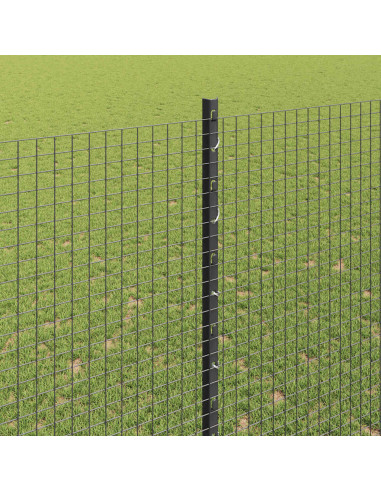 Recinzione con Posto Grigio