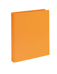 CF10 RACC. NEON CART.D30 ARAN FLUO