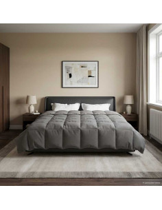 Duvet Invernale Grigio chiaro 200 x 200 cm Microfibra