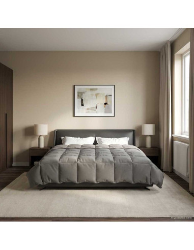 Duvet Invernale Grigio chiaro 200 x 220 cm Microfibra