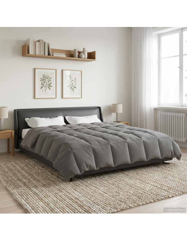 Duvet Invernale Grigio chiaro 220 x 260 cm Microfibra