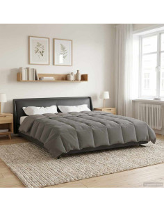 Duvet Invernale Grigio chiaro 240 x 260 cm Microfibra