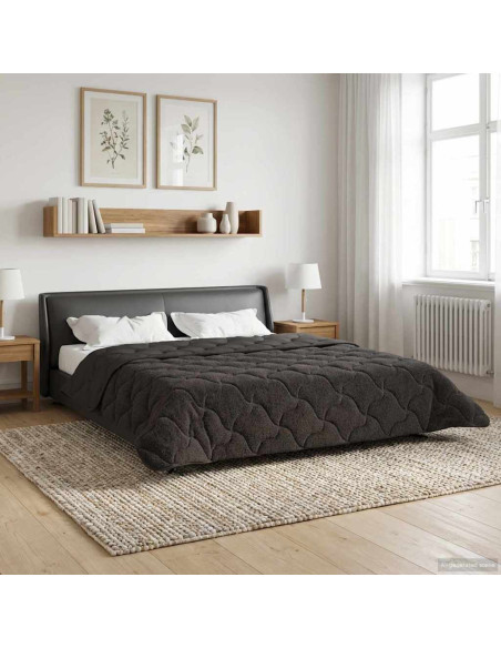 Duvet Estivo Antracite 200 x 200 cm Microfibra e Fleece Teddy