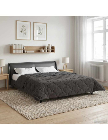 Duvet Estivo Antracite 240 x 260 cm Microfibra e Fleece Teddy