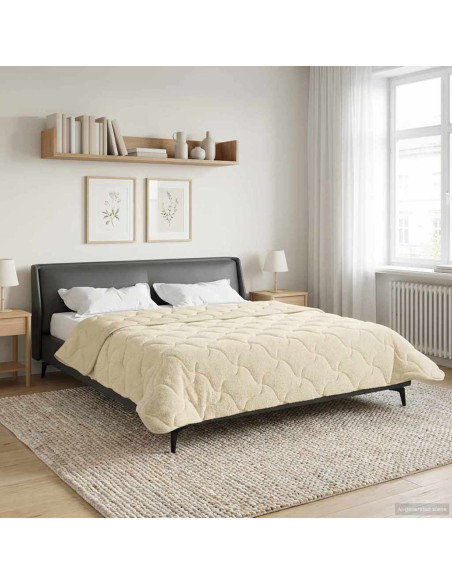 Duvet Estivo Crema 220 x 260 cm Microfibra e Fleece Teddy