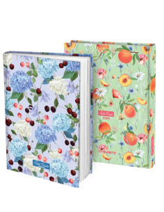 CF6 DIARIO PETIT FRUITS 12 MESI