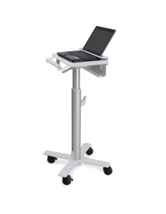 STYLEVIEW LAPTOP CART  SV10