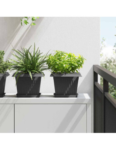 Vassoio Quadrato per Fiori 24 pcs Nero 18 x 18 x 2 cm Plastica