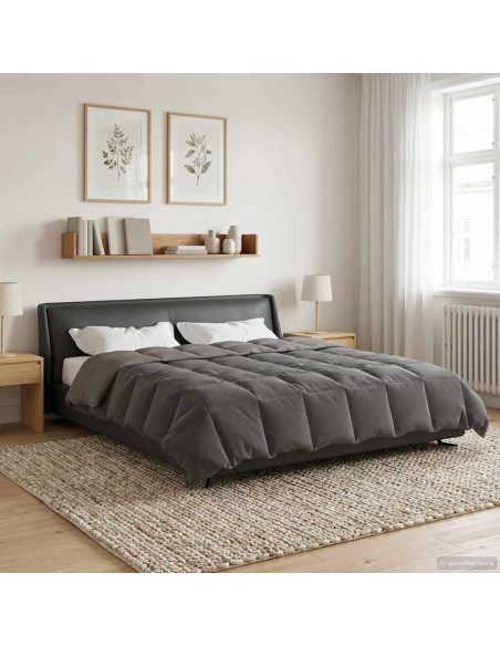 Duvet Invernale Grigio chiaro 220 x 240 cm Microfibra
