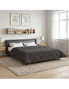 Duvet Estivo Antracite 240 x 260 cm Microfibra e Fleece Teddy