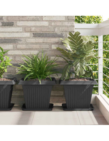 Vassoio Quadrato per Fiori 24 pcs Nero 32 x 32 x 2,5 cm