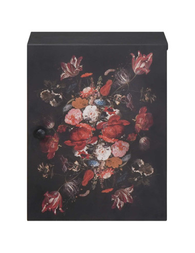 Armadio pensile con archiviazione Multicolore 38 x 33,5 x 48 cm