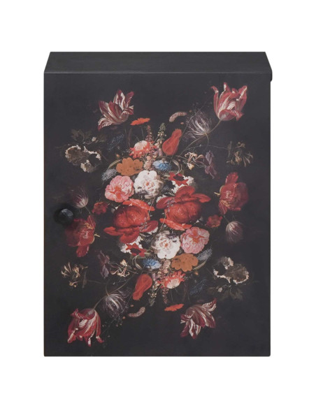 Armadio pensile con archiviazione Multicolore 38 x 33,5 x 48 cm