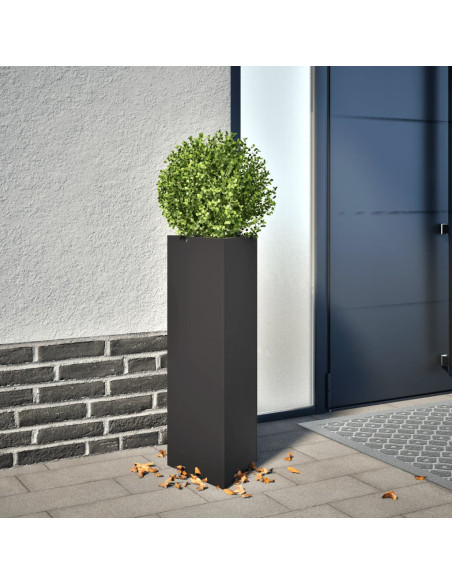 Fioriere da Giardino 2 pz Nere Triangolari 30x26x75 cm Acciaio